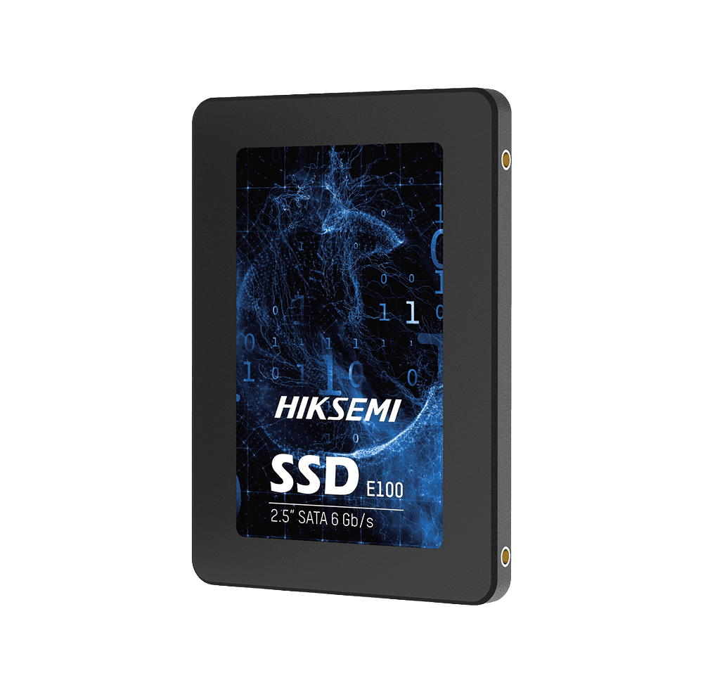 HIKVISION SSD 256GB E100