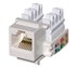 Picture of I/O RJ45 | Bolein