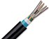 Picture of 12 Core Fiber Cable